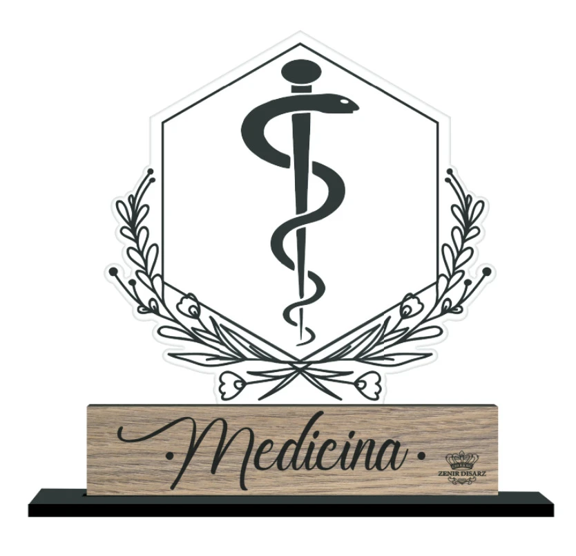 MADEIRINHA PROFISSÕES MEDICINA...MEMÓRIA 15X16